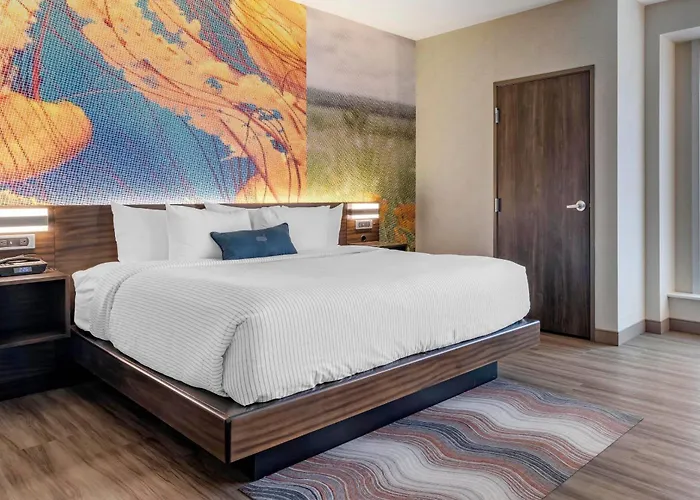 Hotel Cambria Mall Of America Minneapolis Airport