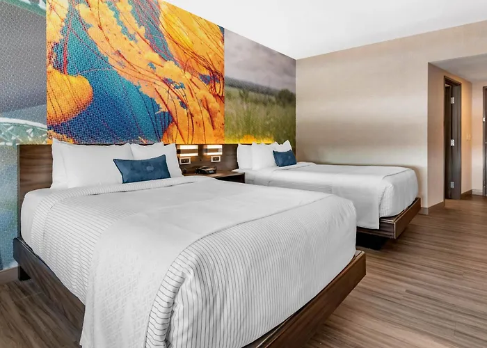 Hotel Cambria Mall Of America Minneapolis Airport Bloomington