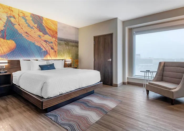 Cambria Mall Of America Minneapolis Airport Hotel 4*